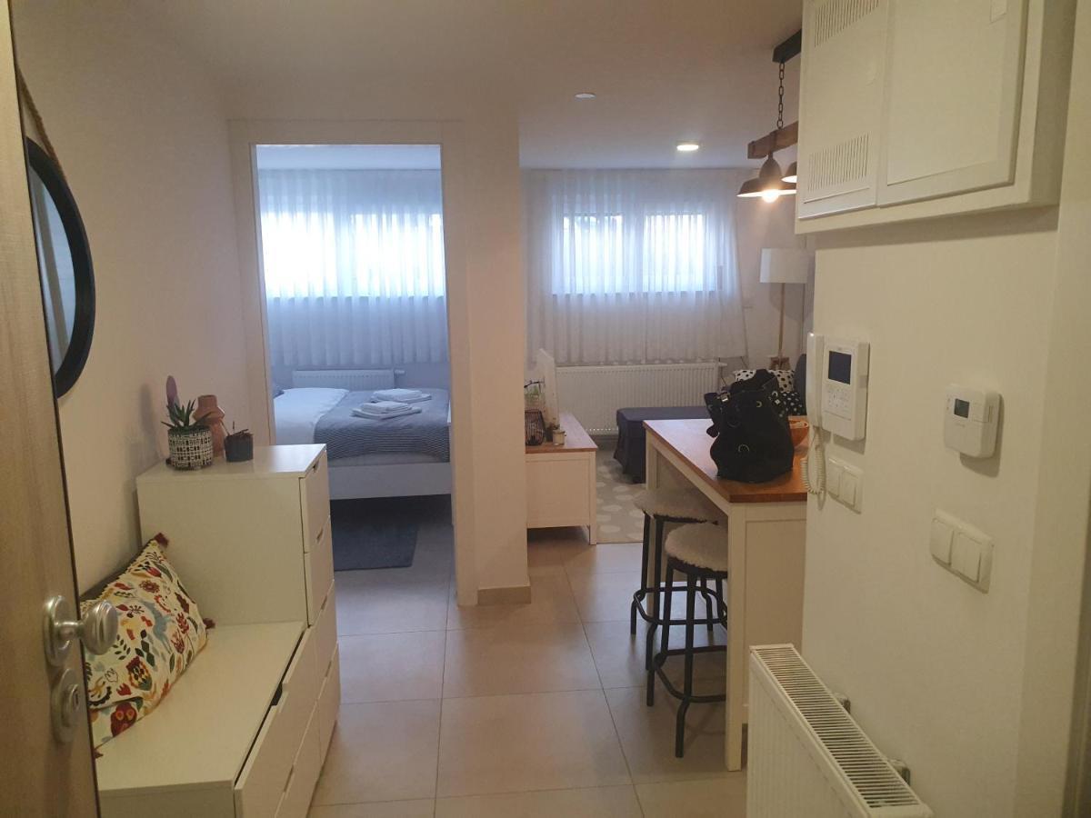 Cosy 35M2 Appartment Zagabria Esterno foto